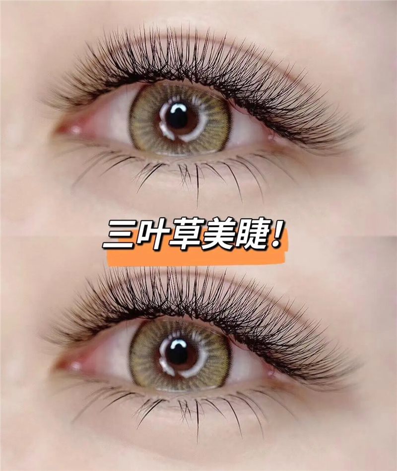 三叶草