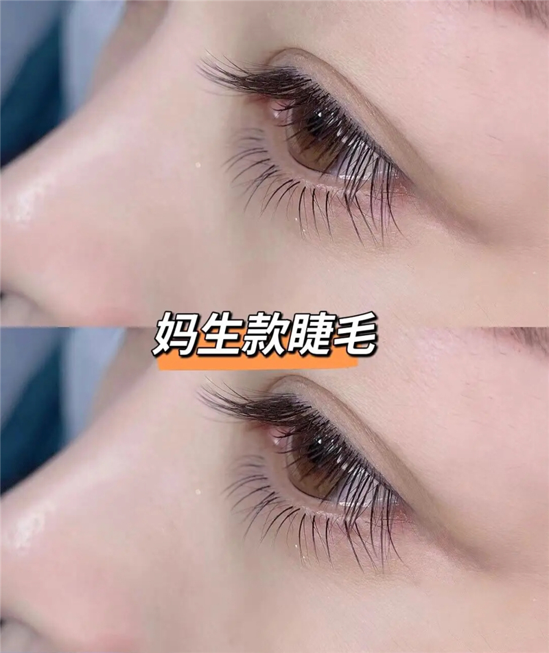 山茶花婴儿弯