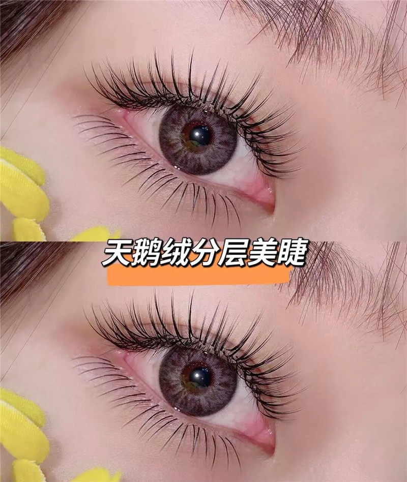 天鹅绒